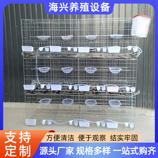 ���ӻ\�������������Bֳȫ���䌦��̖�Ӵ����\�Bֳ�\12λ�N���\��