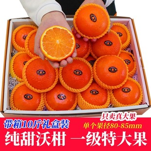 Wo Mantan Fresh Guangxi wuming First -Class Pure Sweet Special Fruit теперь выбирает апельсины 10 фунтов подарочных коробок сезонные фрукты апельсины