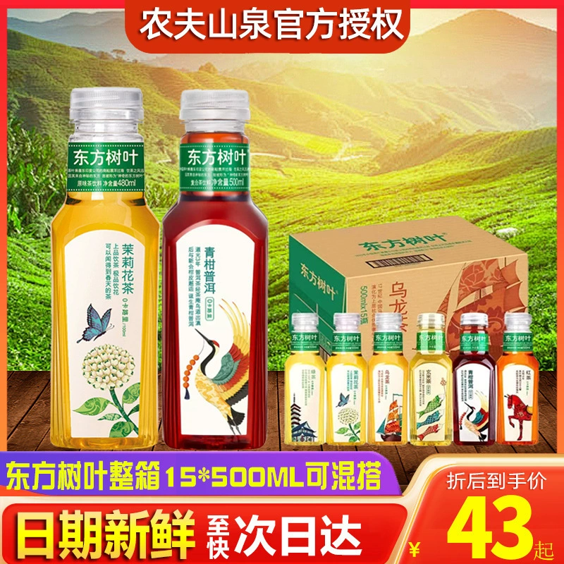 Nongfu Spring Oriental Leaves Напиток 500ml * 15 бутылок целая коробка зеленого мандаринового чая пуэр черный чай жасмин улун чай