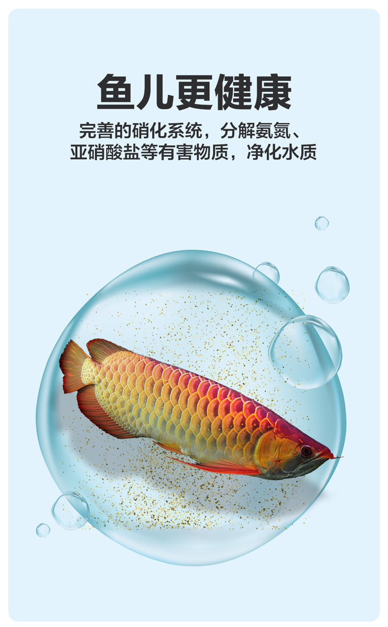 930d48c0-70ed-4c00-87ca-368b882e4b9a.jpe