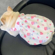 ���ﹷ���ļ���������B��ȹ �����͸�С��Ȯ��ţ�ֹ��Ϲ�ȹ�·�