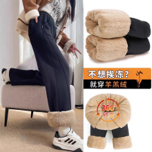 加绒裤子女秋冬季保暖一体绒窄版直筒羊羔绒运动香蕉阔腿外穿棉裤