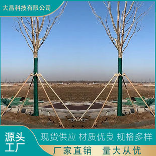 3��5�������~�� ֧��� ֲ��U ��ľ֧�μ� �F؛��ľ֧�ΗU