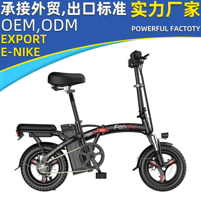 Electric bike for men and women for adults