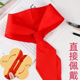 旗帜;徽章;袖章