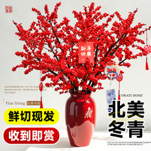 北美冬青红果真花鲜切枝水培红腊梅银柳过春节插花2025新年宵花卉