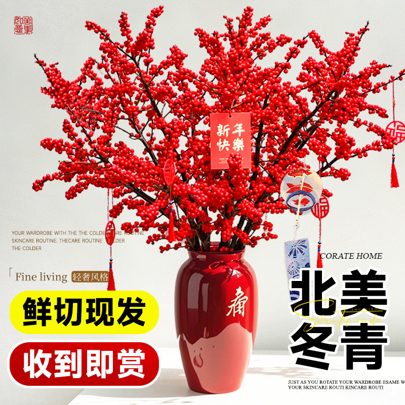 北美冬青红果真花鲜切枝水培红腊梅银柳过春节插花2025新年宵花卉