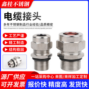 304P|^ݼypioܛܽ^̶ܷ|^