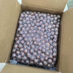 Bulk wholesale of new extra large macadamia nuts in bulk original buttery nut roasted seeds and snacks whole box 10 jins