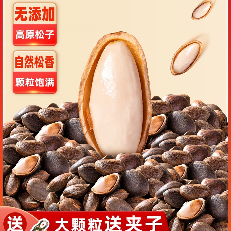 云南新鲜生松子原味大颗粒手剥松仁零食坚果2024新货松树籽非东北