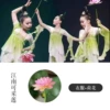 Original Jiangnan Pickable Lotus + Lotus
