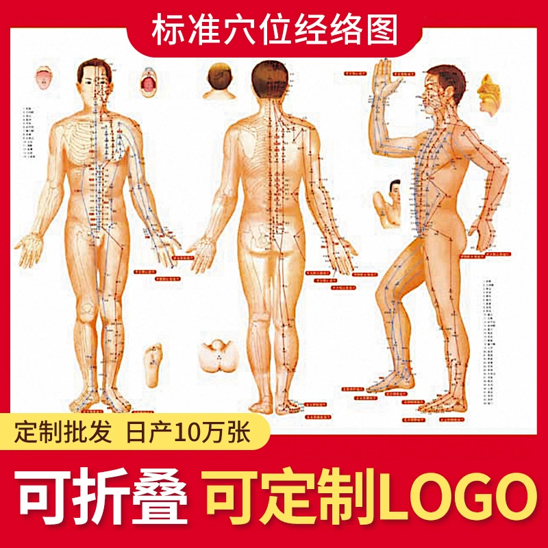 Двусторонняя иллюстрация по акупунктурным точкам и меридианам тела человека для массажа и моксибустии, схема акупунктурных точек для моксибустии