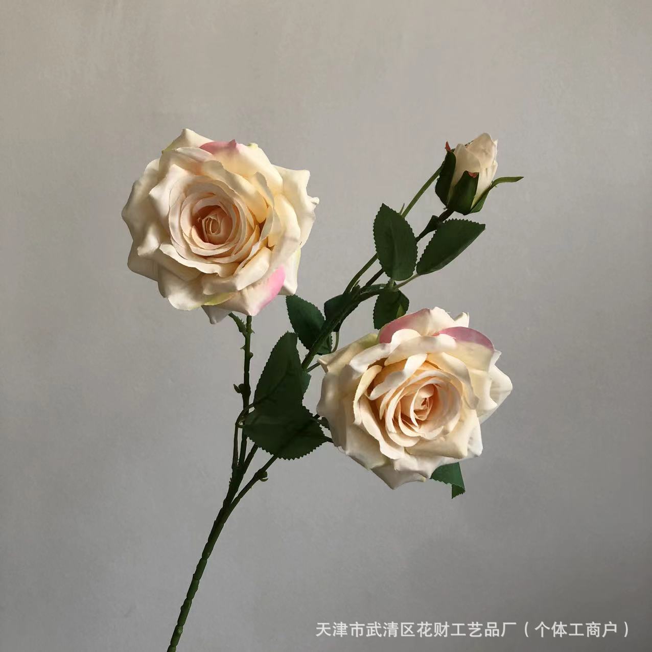 샴페인
