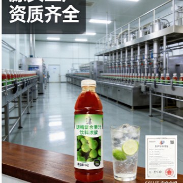 Tangzhishihua Plum Syrup Sparkling Water Beverage, Special Water for Milk Tea Shops and Coffee Shops, Wholesale for Milk Tea Shops Tangzhishihua Plum Syrup Sparkling Water Beverage, Special Water for Milk Tea Shops and Coffee Shops, Wholesale for Milk Tea Shops