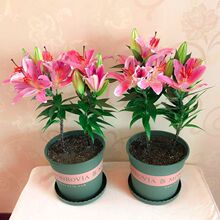 10�w��ˮ�ٺϻ��ذ����Ի����ֲ̨���҃ȾGֲ���B���ļ��N�_��