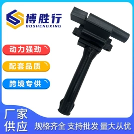 油泵、油嘴;点火线圈;其他发动系统