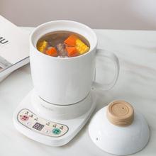 便携式养生杯电炖电热杯陶瓷杯迷你多功能玻璃煮粥杯加热牛奶水杯