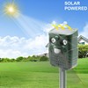 New solar -energy mole drum flashing snake -repellent outdoor driving device bird driving device driving cat drive cat animal driving device