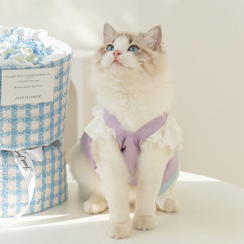 Gato primavera y verano lindo princesa estilo pastel vestido perro gran arco falda mascota de dos patas ropa para perros
