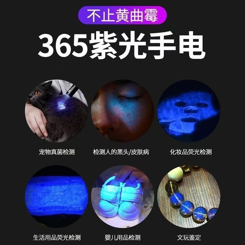 新款紫光灯农药残留检测器验钞灯家用海鲜蔬菜水果UV固化烟酒检测|undefined