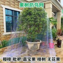 新款防鸟神器果树防鸟网樱桃树嘉宝树防鸟罩大棚鱼塘葡萄防护网