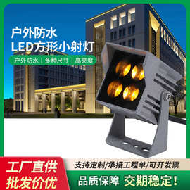 LED方形小射灯防水小角度外墙投光灯防水亮化园林绿化草坪照树灯