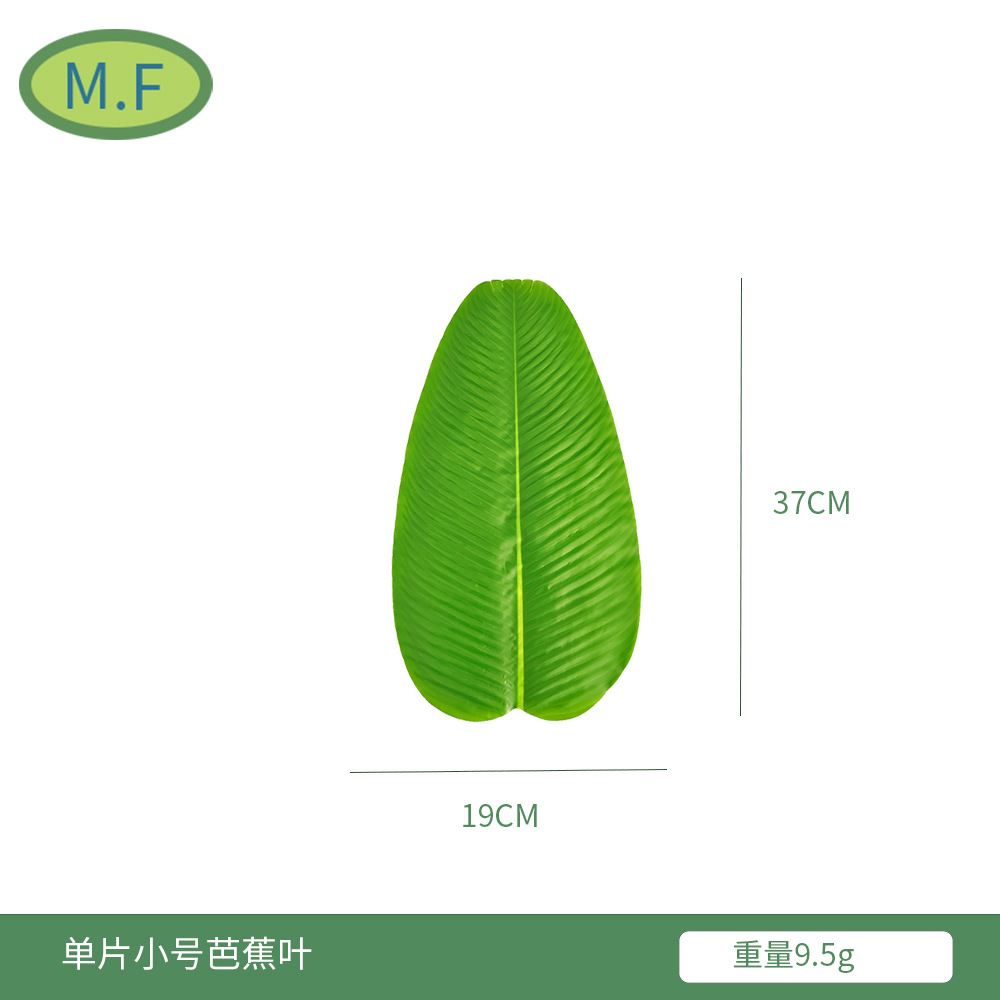 小号芭蕉叶