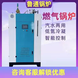 燃气锅炉;燃生物质锅炉;燃煤锅炉