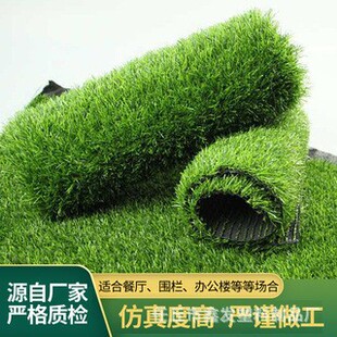 �����ƺ���ϼٲ�ƺ��̺��Ƥ����������������ƺ