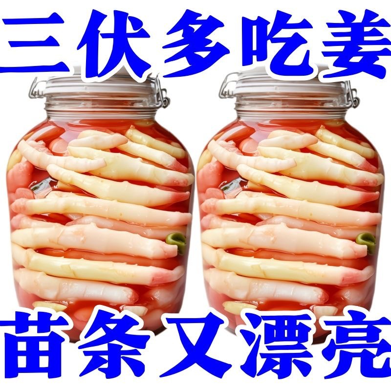 泡仔姜四川农家自制泡嫩姜泡姜正宗老坛特产泡菜酸辣下饭酸菜解馋