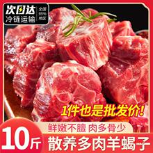 内蒙古羊蝎子生鲜新鲜带肉羊骨头多肉火锅10斤20斤羊脊骨商用羊肉