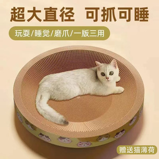 �S�����l؈ץ�岻��м؈ץ��؈�Cһ�w�Ӻ�������㼈؈ץ��A��