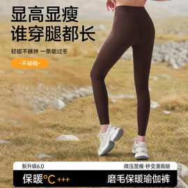 秋季保暖磨毛鲨鱼裤高腰立体提臀运动瑜伽裤可外穿显高显瘦芭比裤