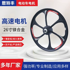 电动车电动机;轮毂;电动车轮胎