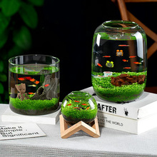 ˮ��΢���^�Gֲ���b��������ֲ�ﲣ���~��С�ͼ����쾰���Bˮ��