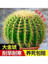 ������������k���҃��������������Դ�̖���ֲ�ﳬ���w���B