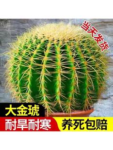 ������������k���҃��������������Դ�̖���ֲ�ﳬ���w���B