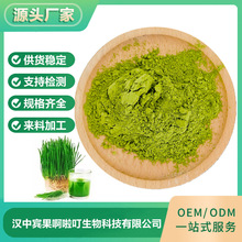 厂家供应 大麦苗生粉 大麦苗粉原料 烘焙糕点大麦苗粉  100g/袋