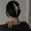 Серебристый (крупная модель)