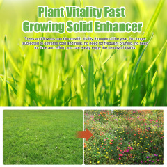 Yegbong Plant Nutrient Fertilizer for Flowers, Potted Plants, Lawns, Green Leaves, Root Growth and Plant Nutrition