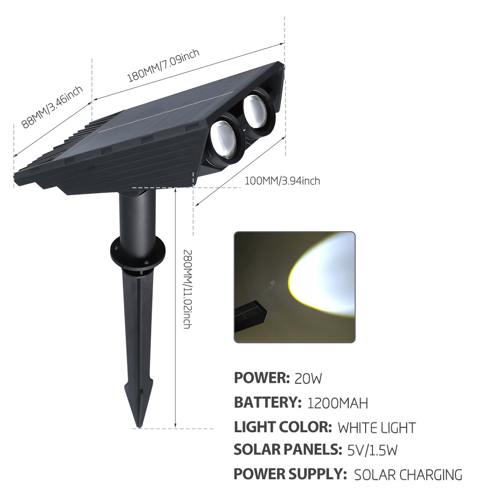 태양 간 식물 빛 백색 빛
