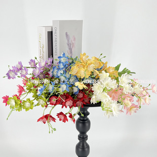 ����ʯ�񻨻�cϵ�н�������bٻ��zӰ���߼Ҿӿ͏d�[������