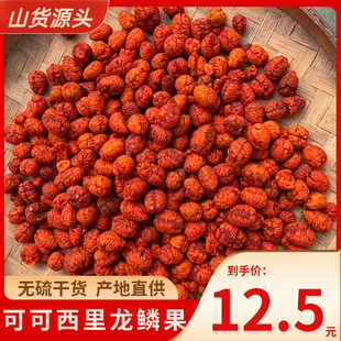 ������d������̟��u���ɽ؛��đ��ȥ��ȥƤ�d����Դ�^؛Դ���l