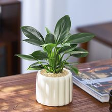 ƷֲGҾӾGֲȩݗ҃ȶļB