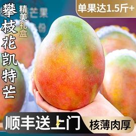 西式糕点;饼干;膨化