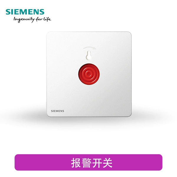 Alarm, switch key