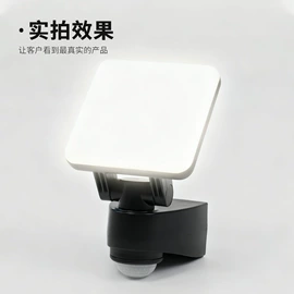 LED支架灯;吸顶灯;室外壁灯