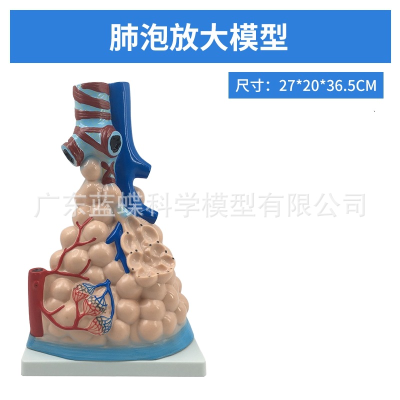 ��Ȼ��������ķ�ģ�ͺ�����״�ٷ��������ϵͳ�β�������ʽ�ѧ