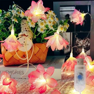 LED���w������ҹ�����u�������滨���c��Y�b��÷Շ��l��ʟ�