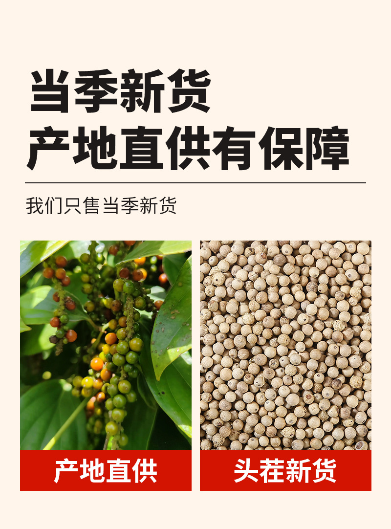 White Pepper Granules (Piper nigrum) — Dried Culinary Spice for Broths & Seasoning quality and texture